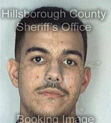 William Aguiar, - Hillsborough County, FL 