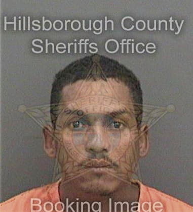 Luis Alonsofernandez, - Hillsborough County, FL 