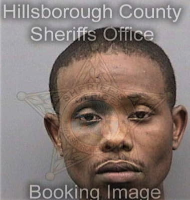 Michael Dinkens, - Hillsborough County, FL 