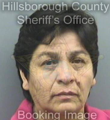 Tiffany Godshalk, - Hillsborough County, FL 