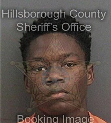 Rodney McCall - Hillsborough County, FL 