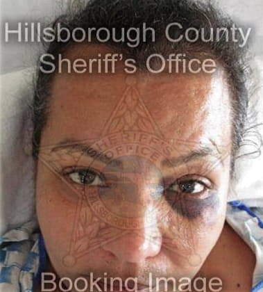 Mariselle Nieves-Santiago, - Hillsborough County, FL 