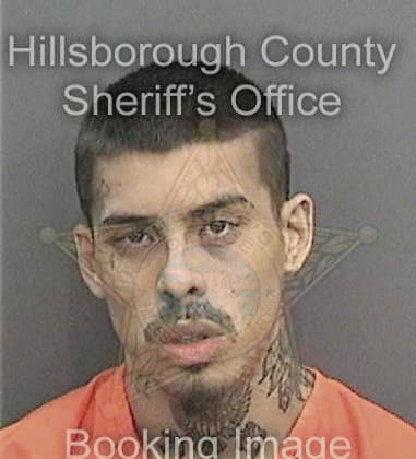 Luis Quinones, - Hillsborough County, FL 