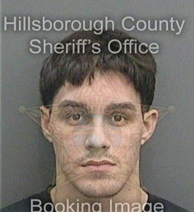 Abelardo Suarezguilarte, - Hillsborough County, FL 