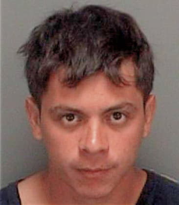 Cesar Romerochavez, - Pinellas County, FL 