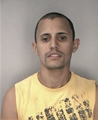 Joaquin Diazdeleongellegos, - Hillsborough County, FL 