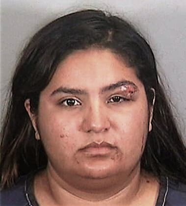 Andrea Hernandez-Amaro, - Manatee County, FL 