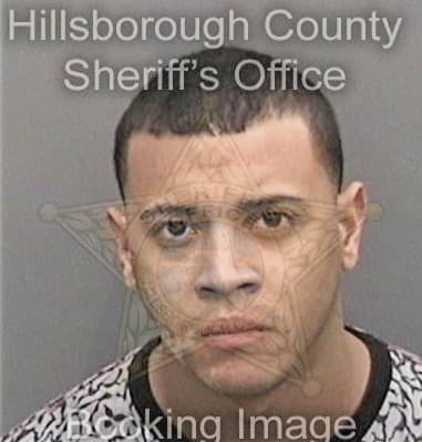 James Holliday, - Hillsborough County, FL 