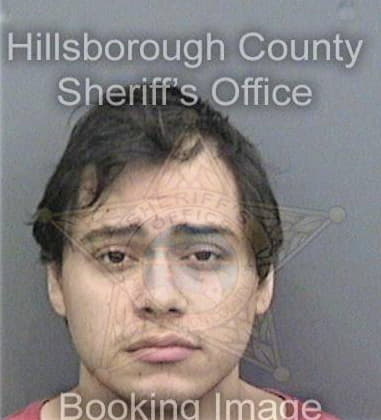 Pedro Valdez, - Hillsborough County, FL 