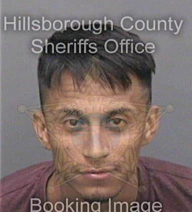 Daniel Bright - Hillsborough County, FL 