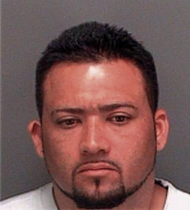 Henrri Hernandez, - Pinellas County, FL 