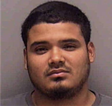 Santos Pena, - Lee County, FL 