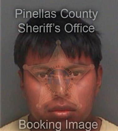 Rolando Castanedamontanez, - Pinellas County, FL 