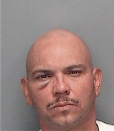 Nelson Colon, - Pinellas County, FL 