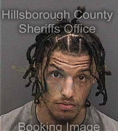 Jermaine Davis, - Hillsborough County, FL 