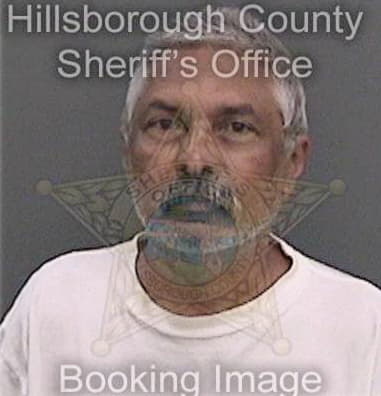 Nelson Gomezgarcia, - Hillsborough County, FL 