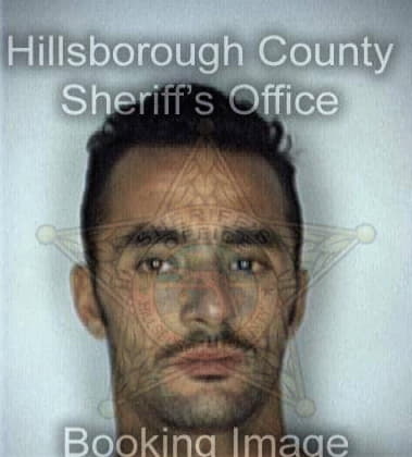 Moises Iroizary, - Hillsborough County, FL 