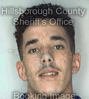 Christopher Brice - Hillsborough County, FL 