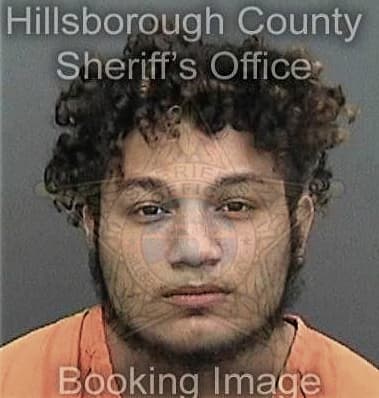 Ian Cerat, - Hillsborough County, FL 