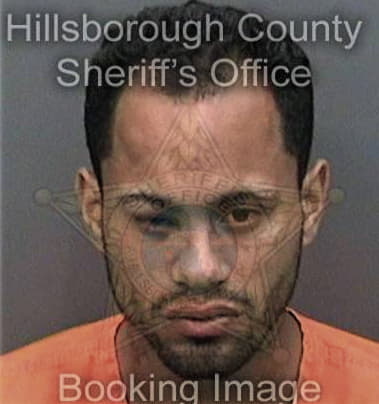 Ray Chapa, - Hillsborough County, FL 