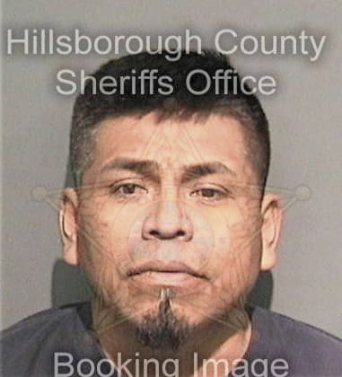 Bradley Dominguez, - Hillsborough County, FL 