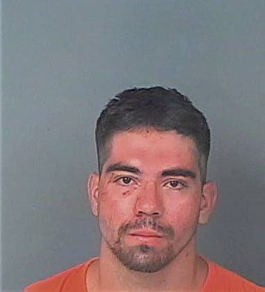 Willie Honea, - Hernando County, FL 