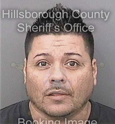 Anthony Moldenhauer, - Hillsborough County, FL 