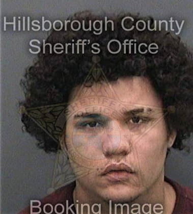 Adrian Reyes, - Hillsborough County, FL 