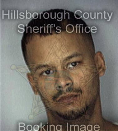 Richard Robbins - Hillsborough County, FL 
