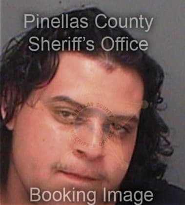 Steven Seiger, - Pinellas County, FL 