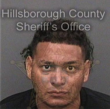 Anthony Abrahante, - Hillsborough County, FL 