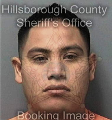 Anthony Alvarez, - Hillsborough County, FL 