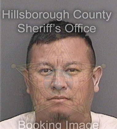 Dino Marti, - Hillsborough County, FL 