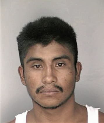 Christopher Mestre - Hillsborough County, FL 