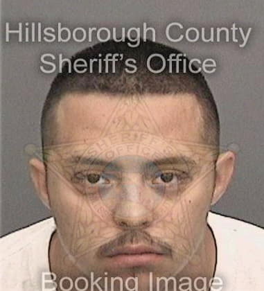 Joshua Wilkins - Hillsborough County, FL 