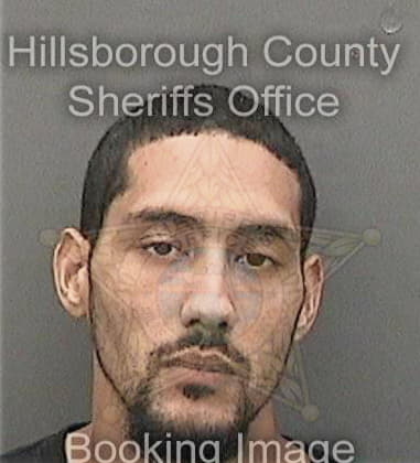 Seydler Bartolon-Berduo, - Hillsborough County, FL 