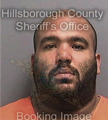 Michael Brown, - Hillsborough County, FL 