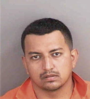 Elias Garcia, - Collier County, FL 