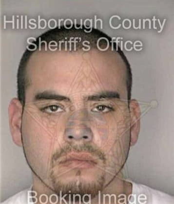 Lewis Hensley - Hillsborough County, FL 