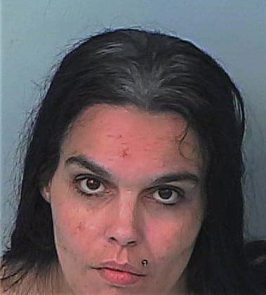 Traci Hulsey, - Hernando County, FL 