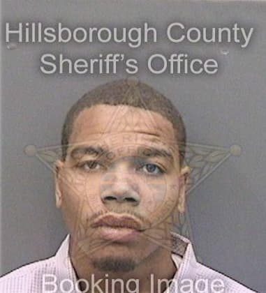 Avisys Jackson, - Hillsborough County, FL 