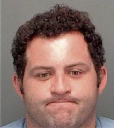 Salim Mikhael, - Pinellas County, FL 