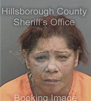 Tami Miller - Hillsborough County, FL 