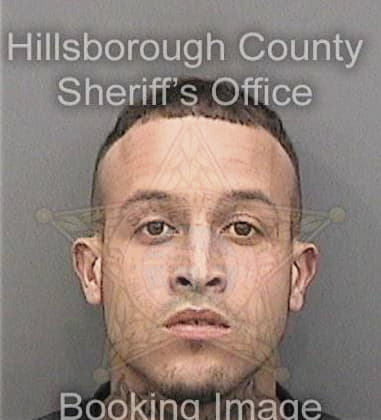 Daniel Ryals, - Hillsborough County, FL 