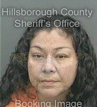 Marangillette Vierarivera, - Hillsborough County, FL 