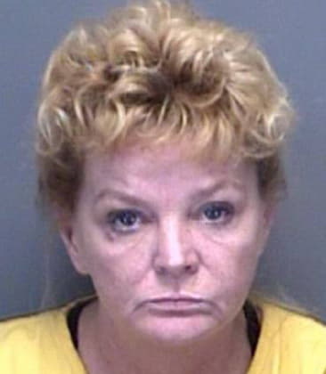 Bonnie Boryca, - Pinellas County, FL 