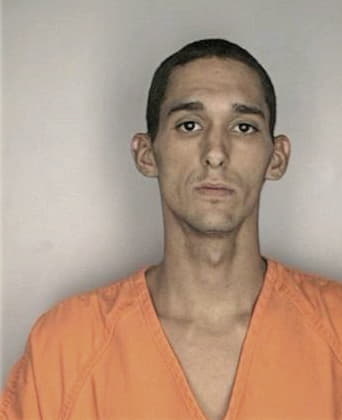 Louis Colon, - Hillsborough County, FL 