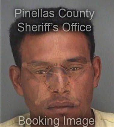 Jose Espinopulido, - Pinellas County, FL 