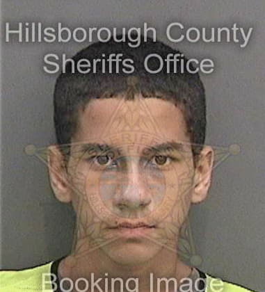 Justin Head, - Hillsborough County, FL 