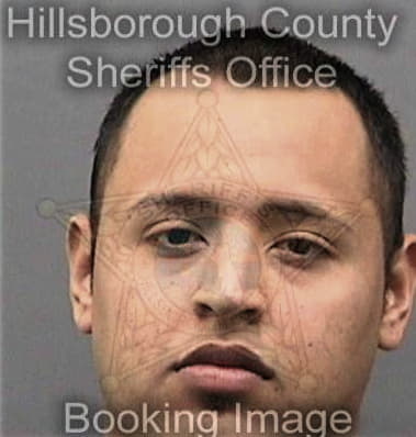 Travis Hill, - Hillsborough County, FL 